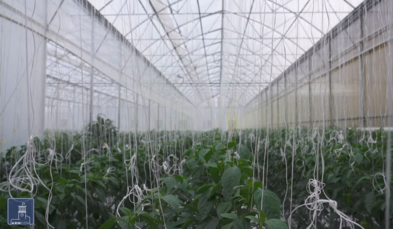 «Փոքր ու միջին ջերմատուն կառուցելու պետական աջակցության ծրագրով» 12 պայմանագիր է կնքվել