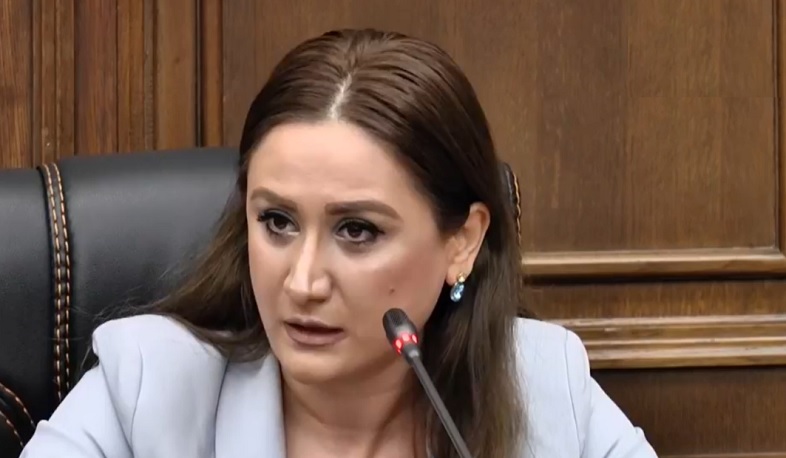 Обсуждение вопроса пленных на всех возможных площадках исходит из интересов Армении: депутат