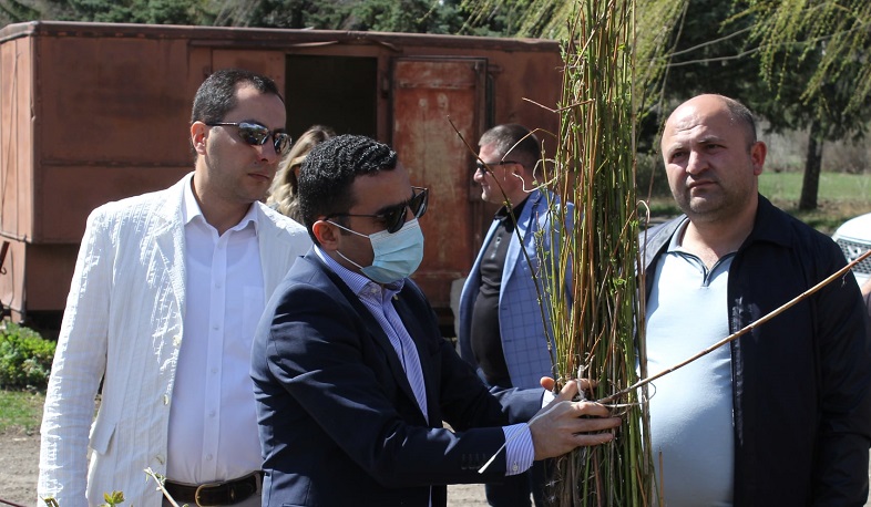 Ապրիլի 25-ի համապետական ծառատունկին տնկվող ծառերի թիվը կանցնի 360 հազարից. ՇՄ նախարար