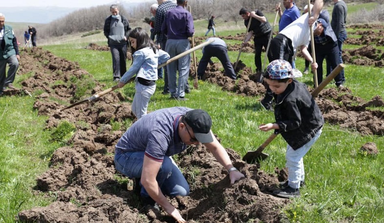 Վահան Քերոբյանը և նախարարության աշխատակիցները մասնակցել են համապետական ծառատունկին
