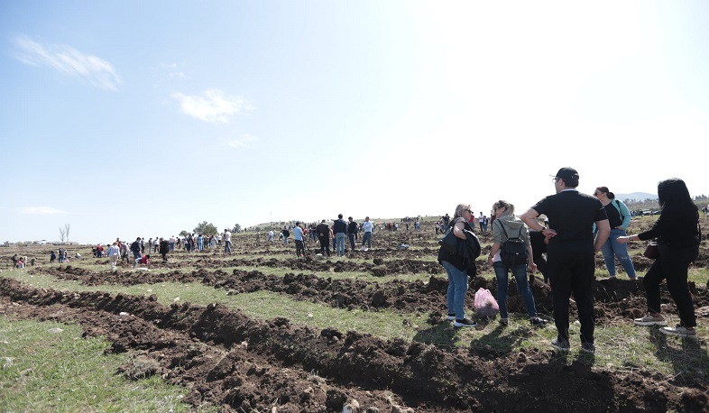 ՏԿԵ նախարարության աշխատակազմը՝ ծառատունկին