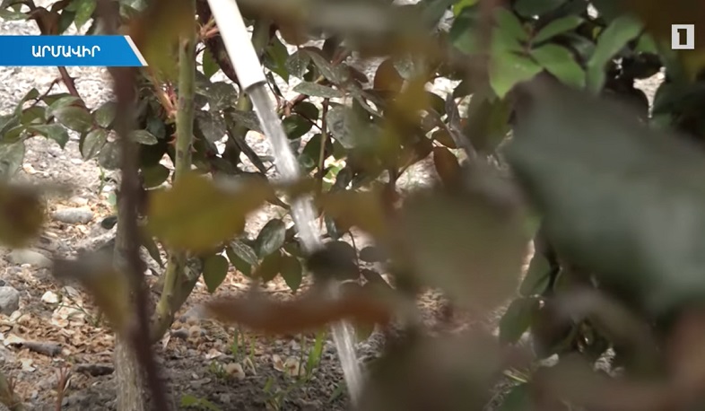 Տանձուտում խմելու ջրի խնդիրը կարգավորվում է, Այգեշատում սպասում են գազիֆիկացմանը