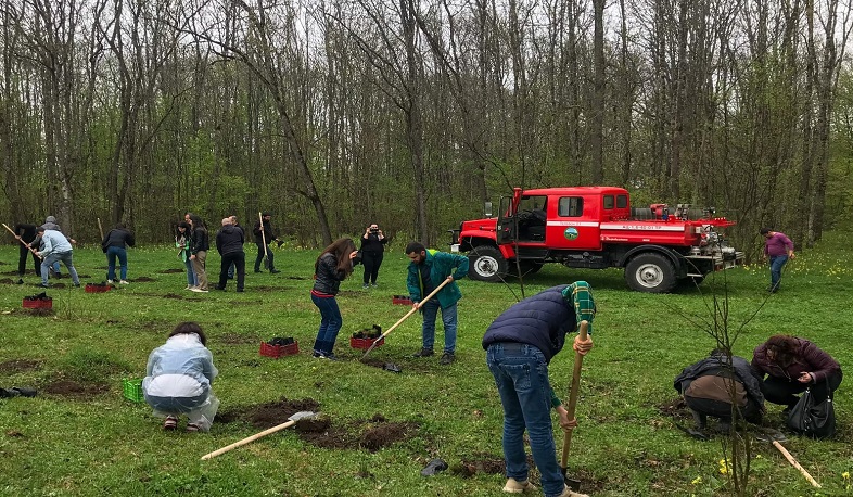 ABŞ-ın ER-dəki səfirliyinin nümayəndələri “Dilican” Milli Parkını ziyarət etdilər və ağac əkdilər