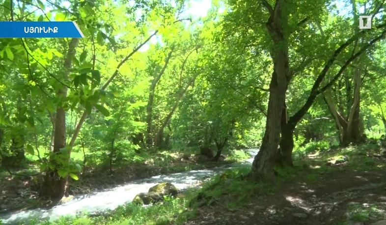 «Սոսու պուրակ» պետական արգելավայրն ամբողջությամբ Հայաստանի տարածքում է