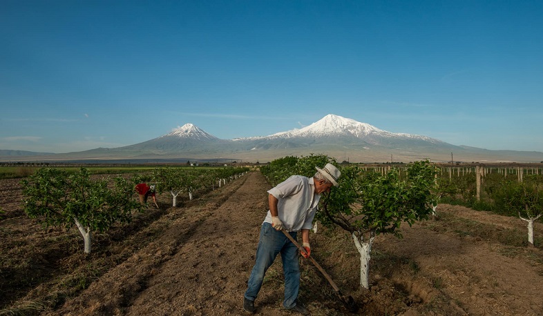 Գյուղաշխատանքների ակտիվ շրջանը մեկնարկել է. լուսանկարներ