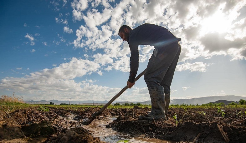 Էկոնոմիկայի նախարարությունը ներկայացրել է կաթիլային ոռոգման և անձրևացման առավելությունները