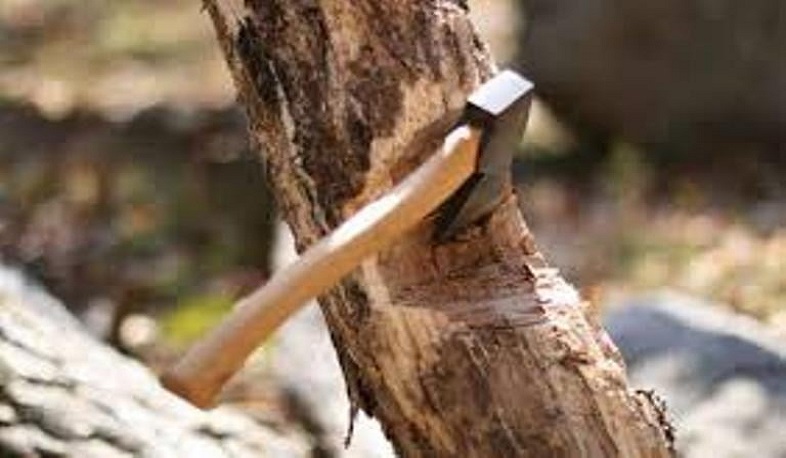Մաշտոցի ոստիկաններն ապօրինի ծառահատման դեպք են բացահայտել