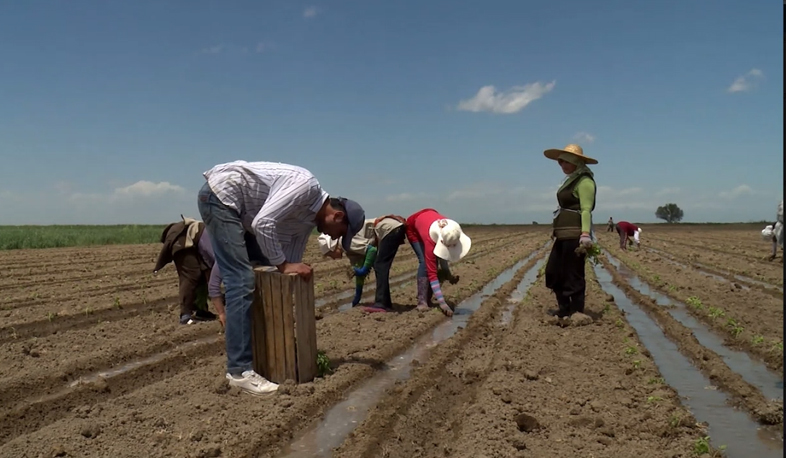Мы осуществили переломные изменения в сфере сельского хозяйства: Пашинян