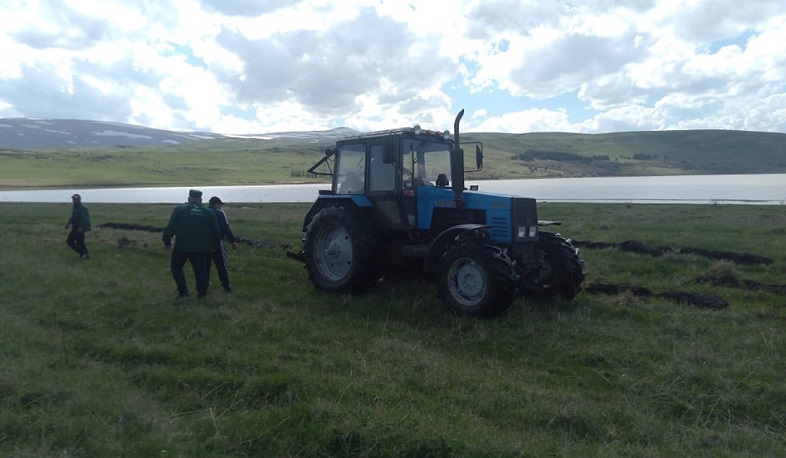 «Արփի լիճ» ազգային պարկի տարածքում նախատեսվում է 2000 ծառ տնկել