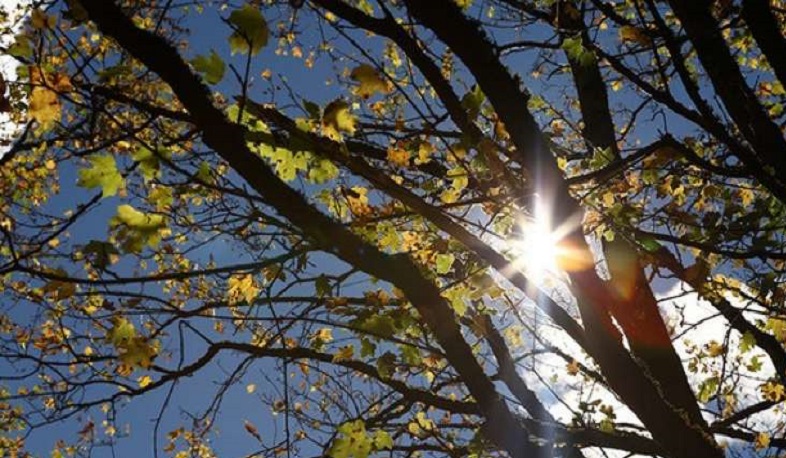 Առաջիկա օրերին օդի ջերմաստիճանը կբարձրանա 5-6 աստիճանով