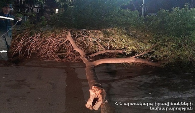 Վարդանանց փողոցում ծառը շրջվել և միակողմանի փակել է երթևեկությունը