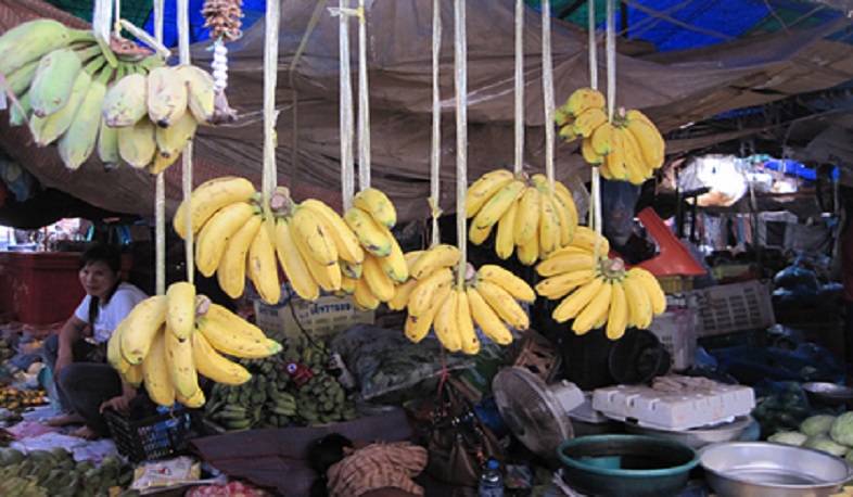 Էկվադորում Ռուսաստանի համար նախատեսված բանանների տուփերում կոկաին է հայտնաբերվել