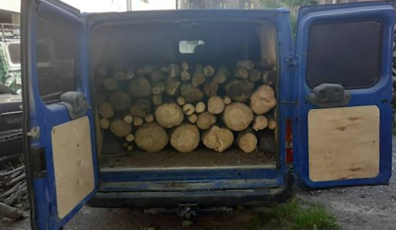 Գորիսի ոստիկաններն ապօրինի ծառահատման դեպքեր են բացահայտել