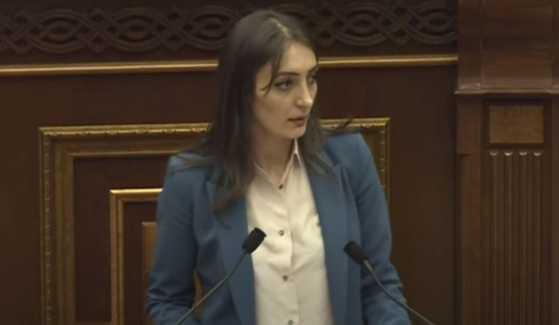 ԱԺ-ում ՏՄՊՊՀ անդամի պաշտոնում քննարկվեց Շուշան Սարգսյանի թեկնածությունը