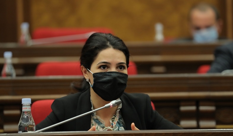 Հայ ռազմագերիների հարցը հրատապ լուծում է պահանջում. Տաթևիկ Հայրապետյանը՝ ԵԽԽՎ հանձնաժողովի նիստում