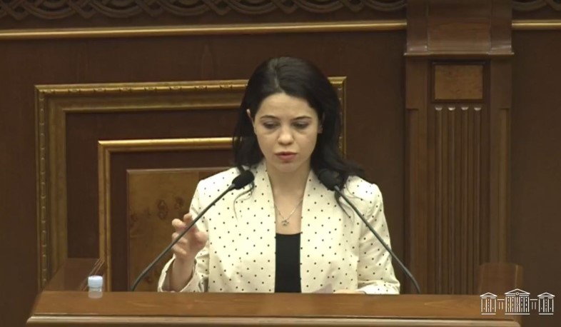 Политика Азербайджана недопустима: Айрапетян о ситуации на армяно-азербайджанской границе