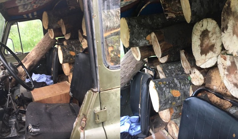 Տավուշի ոստիկաններն ապօրինի ծառահատման դեպքեր են բացահայտել