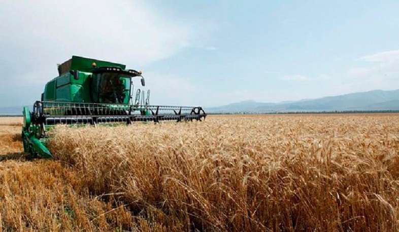 Ակնկալվում է աշնանացան ցորենի սերմերի ներմուծման և մատակարարման ծավալների ավելացում. նոր փոփոխություն