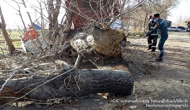 Արշակունյաց պողոտայում ծառն ընկել և մասամբ փակել է ավտոճանապարհի երթևեկելի գոտին