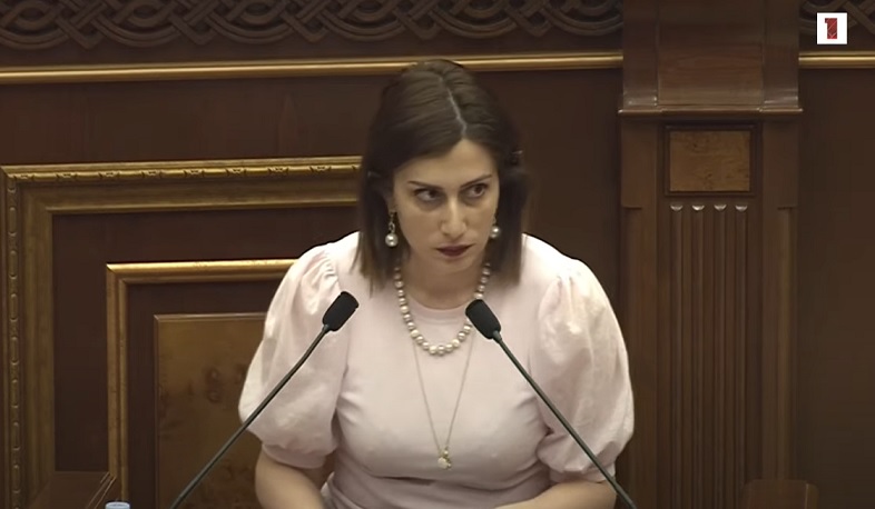 Քննարկվեց «Մարդու վերարտադրողական առողջության և վերարտադրողական իրավունքների մասին» օրենքում փոփոխությունների նախագիծը