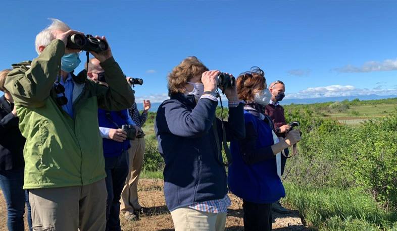 Делегация сенаторов США прибыла в Грузию