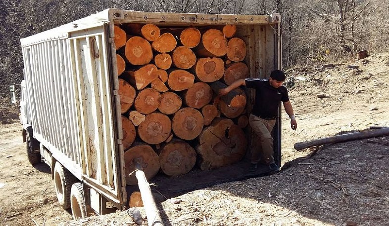 Մեկուկես ժամում Լոռու մարզում հայտնաբերվել է առերևույթ ապօրինի ձեռք բերված փայտանյութով բեռնված 19 մեքենա