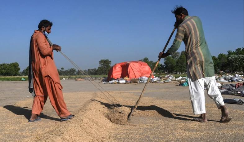 India, Pakistan take battle over basmati rice title to EU