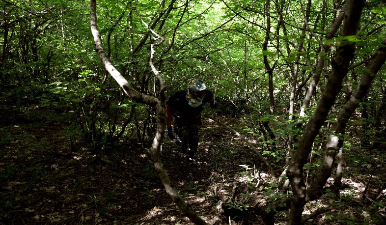 Search for remains continues in Jrakan and Varanda regions