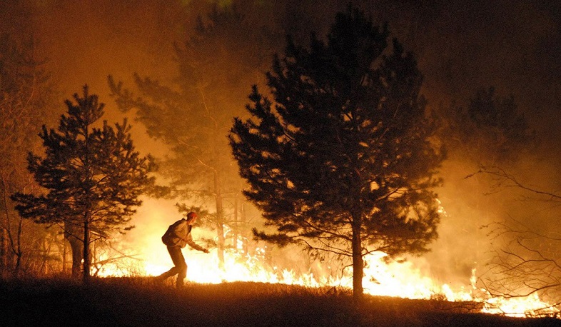 Лесные пожары бушуют в российских регионах