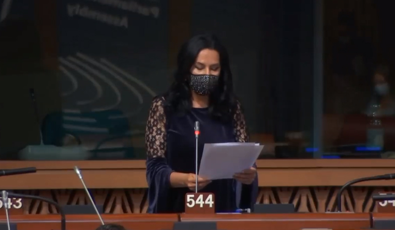 Նաիրա Զոհրաբյանը ԵԽԽՎ-ում բարձրացրել է հայ ռազմագերիների խնդիրը