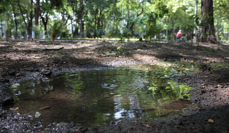 Սարյանի պուրակի ոռոգման համակարգը վնասել են