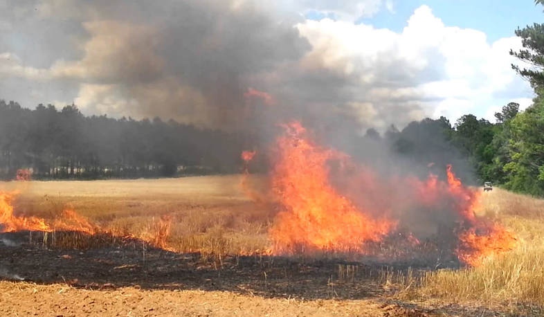 ԲԸՏՄ-ն հիշեցնում է բուսածածկն այրելու դեպքում նախատեսված տուգանքի մասին