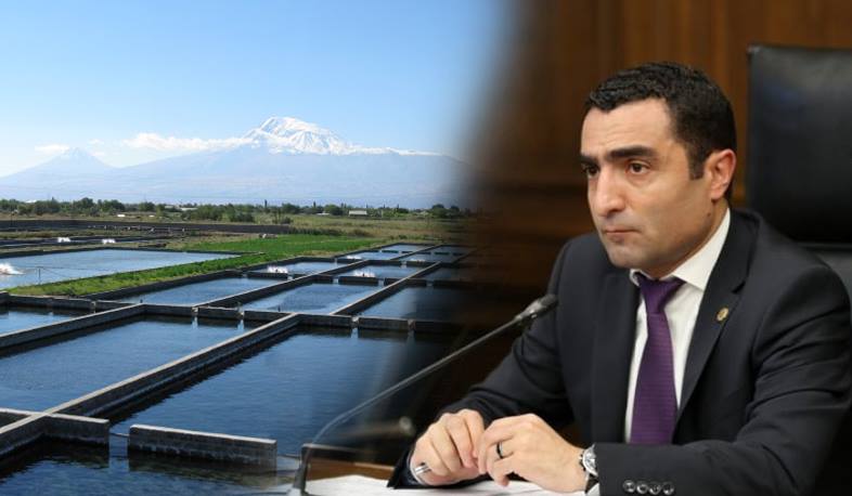 Ռոմանոս Պետրոսյանը Արարատի մարզի 7 խոշորագույն ձկնաբուծարանների հարցով դիմել է ՀՀ գլխավոր դատախազին