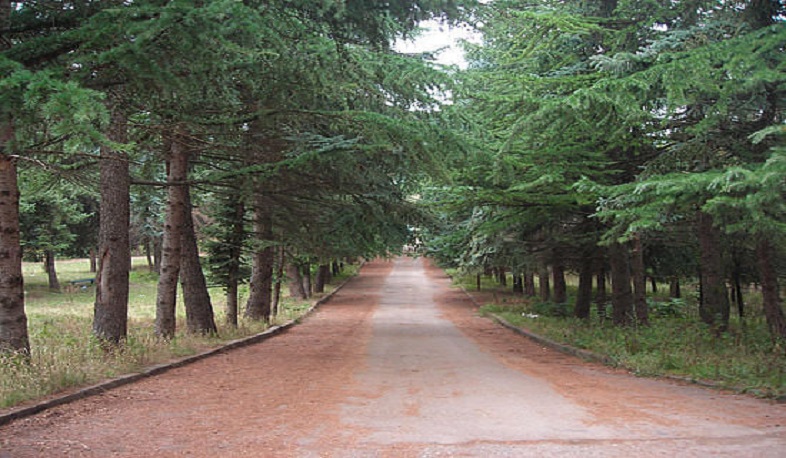 Բնության հատուկ պահպանվող տարածքներում և դենդրոպարկերում կսահմանվի հսկողության խստագույն ռեժիմ