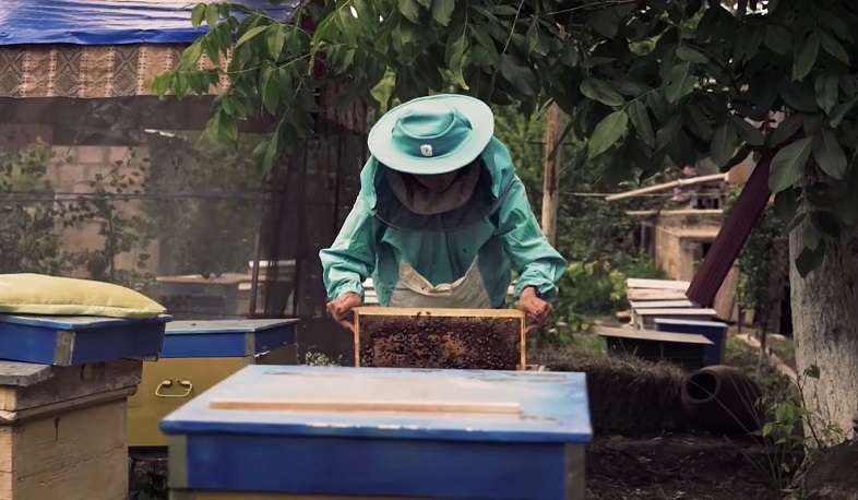 Մեղուներից շատ բան ունենք սովորելու. երիտասարդ մեղվաբույծը՝ իր բիզնեսի մասին