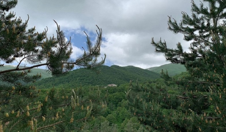 2021 թ. հունիսի 14-25-ը շրջակա միջավայրին հասցվել է ավելի քան 40 մլն դրամի վնաս