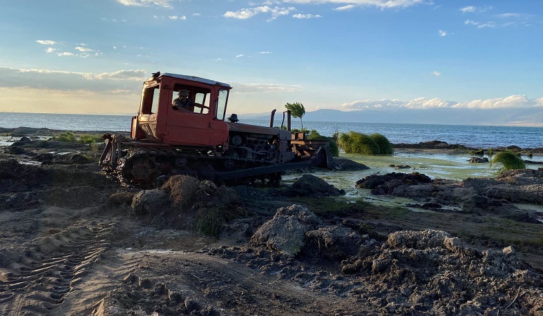 Սևանա լճի ջրածածկ անտառտնկարկների մաքրման նպատակով ձեռք կբերվեն մասնագիտացված մեքենամեխանիզմներ