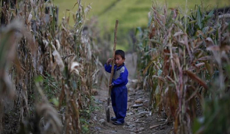 В ООН заявили, что более 40% жителей КНДР страдают от недоедания