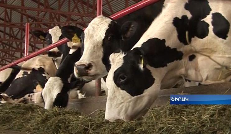 This year the government grants agricultural subsidy at 6 %