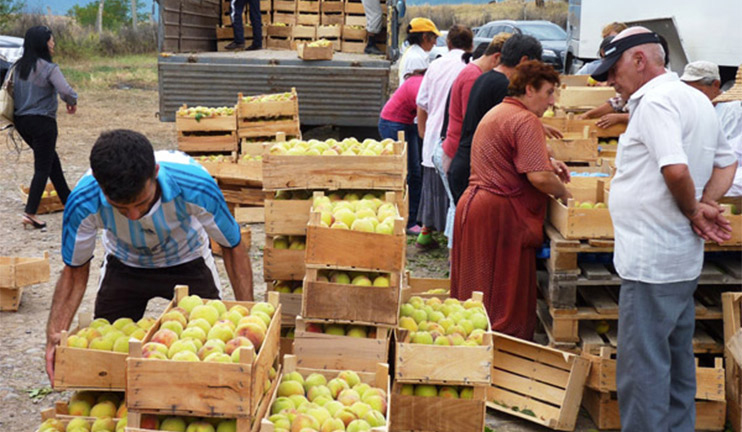 Շաբաթվա վերջից Երևանում կգործեն գյուղատնտեսական տոնավաճառները