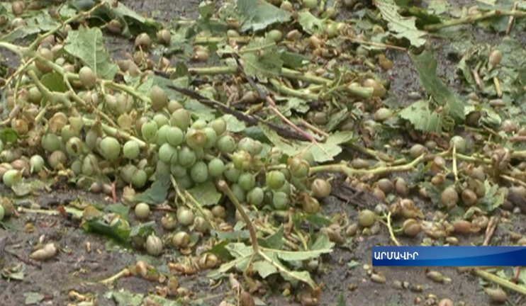 Կարկտահարված գյուղատնտեսություն