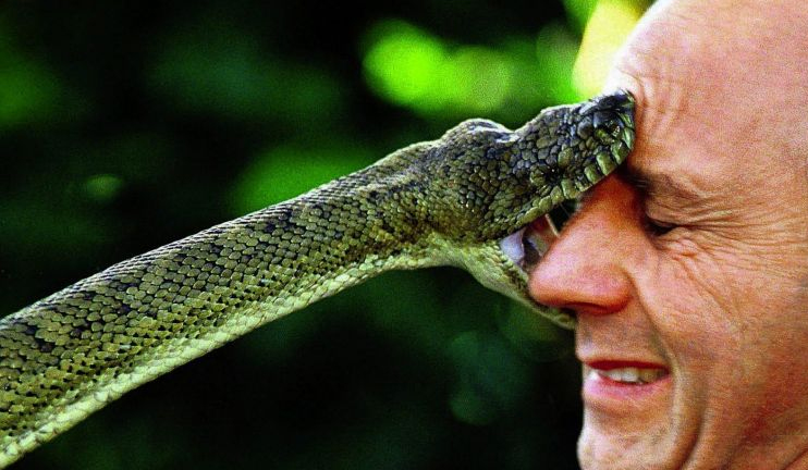 Առողջ առավոտ. Առաջին օգնություն խայթոցի դեպքում