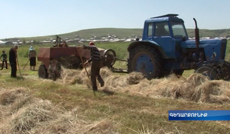 Այս տարի առատ բերք է սպասվում