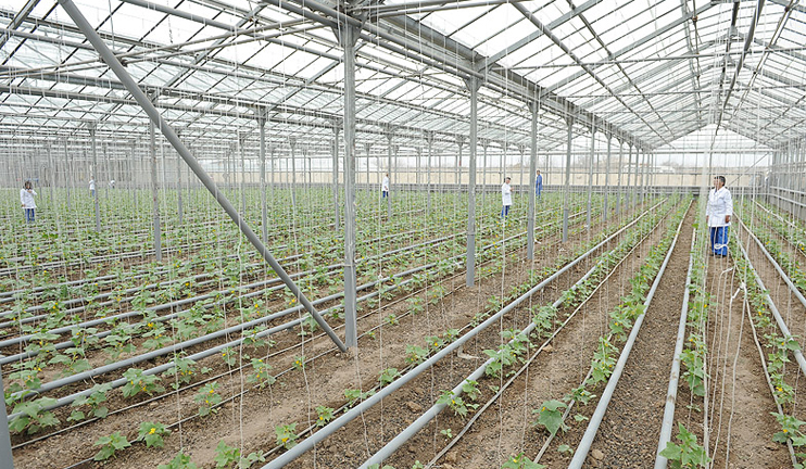 Russian government delegation visits Tavoush