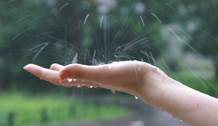 Meteorologists forecast rainy weather