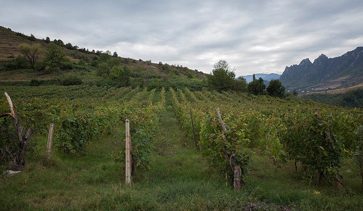 Տավուշում կոոպերատիվների արդյունավետությունը ավելացնում է միջազգային աջակցությունը