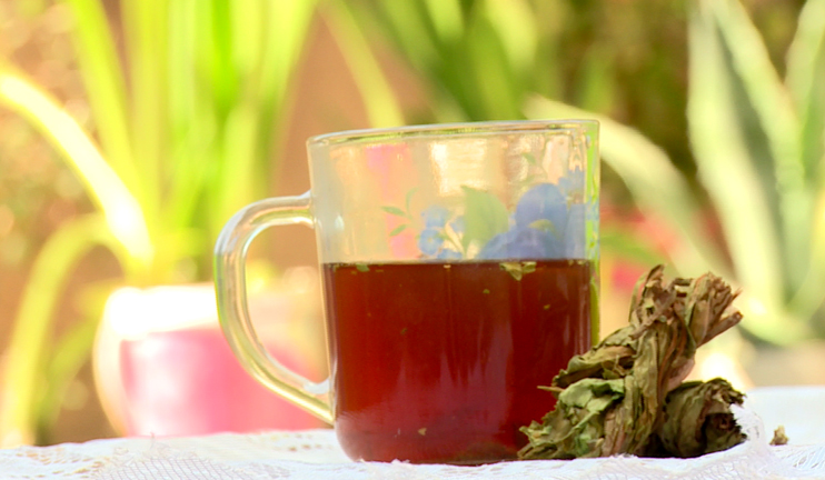 Grandma's recipe: Sorrel (aveluk)