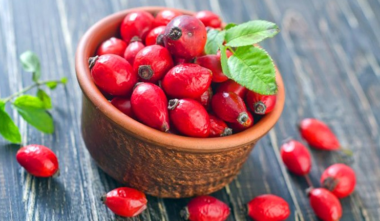 Myths and facts on rose hip