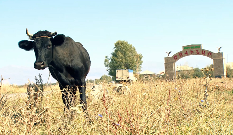 Tsovinar village sunny morning