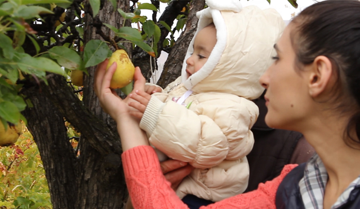 Peaceful morning in Rind village